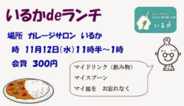 いるかDeランチ